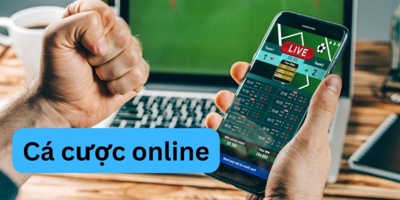 Ghi nhớ lưu ý quan trọng khi tham gia cá cược trực tuyến