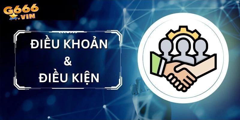 Các nội dung quan trọng trong điều khoản điều kiện G66